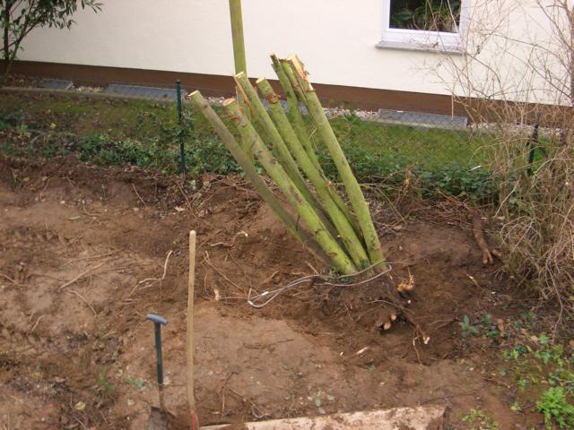 CIMG4680.JPG